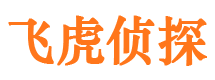 海口市调查公司